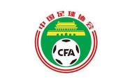 彩票-严益唯：足协慎用第三方视频 程序正义也是进步